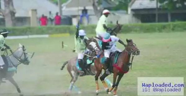 Bauchi Polo Tournament: Player escapes unhurt as horse collapses, dies on field of play